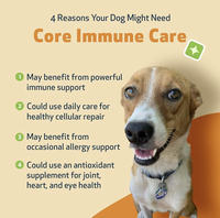 Poudre antioxydante pour chiens et chats CoQ10 Astaxanthine Vitamine E Santé cellulaire Vieillissement sain Soutien immunitaire OEM ODM