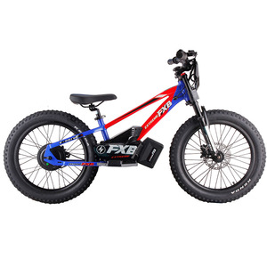 2025 FXB Vélo d'équilibre pour enfants Dirt Bike électrique équilibré de <span class=keywords><strong>20</strong></span> <span class=keywords><strong>pouces</strong></span> - Product Image 1