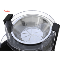 Grote Diameter 1000W Fruit En Groente Juicer