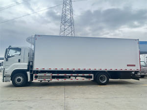 Camión Refrigerado Diésel Manual ISUZU GIGA de Alta Calidad, Nuevo, 240HP, 10-15 Toneladas, para Transporte de Cadena de Frío - Product Image 3