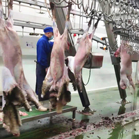 Machine d'abattage de chèvres industrielle ISO, équipement d'abattoir pour l'abattage halal des chèvres, ligne complète d'équipement d'abattage de chèvres