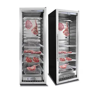 Kommerzieller Trocken alterung kühlschrank Gemahlenes Rindfleisch hält Kühlschrank-Alterung schrank Trockener Steak-Kühlschrank für Rindfleisch
