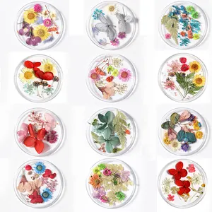 Dried Flowers for Resin Molds, Natural Real Faux Dry Flower for Scrapbooking DIY Making Card Resin Jewelry Soap and Candle