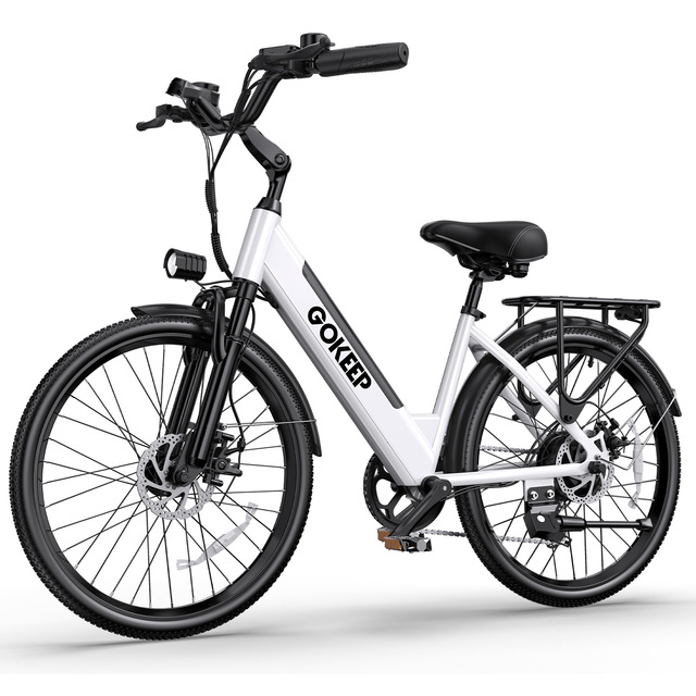 26inch 48V Lithium City Bike 600W Brushless Motor 7-Speed High-carbon Steel Frame Rear Hub Motor Rear Carrier 45km/h