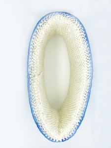 HC-14 phòng tạo độ ẩm lọc cho nước thay thế cho <span class=keywords><strong>HONEYWELL</strong></span> HC-14/ HC-14N/ <span class=keywords><strong>HC14</strong></span>/hc14v1/HCM-6009 Mist Maker tạo độ ẩm - Product Image 4