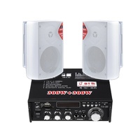 Vant VA-GF600 / PY50 Güç Amplifikatörü 300W+300W PMPO 2.0 Kanal 12V-220V %0.5 THD 90dB Ev Sinema Hoparlörleri