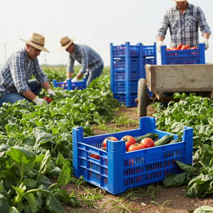 KE 980 Full Perforated Plastic <b>Crate</b> Heavy Duty Stackable Recyclable Foldable Industrial <b>Storage</b> Agriculture Harvest Use Deep - Product Image 3