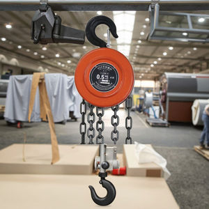 Palans à chaîne manuels de 1 tonne et 5 mètres, palan à chaîne à poulie - Product Image 1