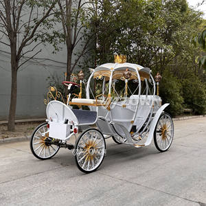 电动无马车 马车 马力车 脚踏马车 南瓜造型 真人大小灰姑娘马车 - Product Image 4