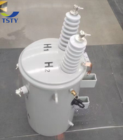 Transformateur électrique monophasé TSTY 75 kVA, transformateur à huile 100 kVA