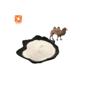 Besin takviyesi hammaddeleri 99% deve süt tozu 1 kg deve sütü - Product Image 6