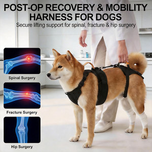 <b>Pet</b> Dog <b>Harness</b> with Handle for Medium Large Senior Dogs Arthritis Injuries Walking Support Helper Adjustable <b>Pet</b> Lift <b>Harness</b> - Product Image 3