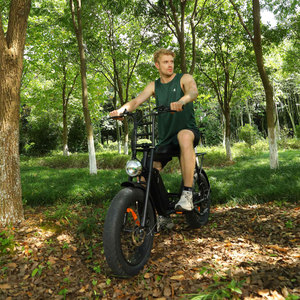 Motocicleta ZODIN de Largo Alcance, Motocicleta Eléctrica Retro con Llantas Gruesas, Cuadro <span class=keywords><strong>MTB</strong></span>, Motocicleta Rápida para <span class=keywords><strong>Mujer</strong></span>, Bicicleta Eléctrica de Montaña y Carretera - Product Image 5