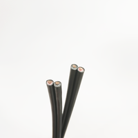 2,5mm 4mm 6mm 10mm Doppelkern Verzinntes Kupfer XLPO-Isoliertes Photovoltaik-Kabel PV1-F für Solarenergiesysteme