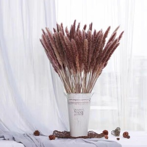 Bouquets de fleurs séchées éternelles en herbe de la pampa et roseaux, petits et séchés, pour décoration intérieure, toile de fond de mariage et décoration de table - Product Image 4
