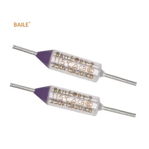 Baile Custom RY-2 Series 10A-15A 120V-250V fusible thermique à température métallique