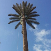 Poteau de palmier de 30 m pour tour, Koweït, Arabie Saoudite