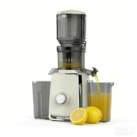 Super Hot Juicer 130MM Grote Diameter Netvrije Snijder voor Sapresten Scheiding Zuivere Sap 500W ABS