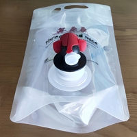 Bolsa Dispensadora de Bebidas Transparente con Grifo, Bolsa Personalizada para Llevar Bebidas, Venta al por Mayor