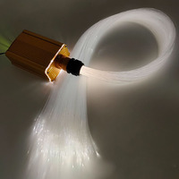 Lumières LED à fibre optique personnalisées de 0,75 mm, redressage et découpe, 500 pièces de 3 mètres de long pour plafonds, corps de lampe en PMMA