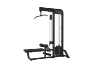 Appareil de musculation 2-en-1 pour tirage vertical et rameur, avec pile de poids, double fonction, pour entraînement du dos, équipement de fitness commercial OEM