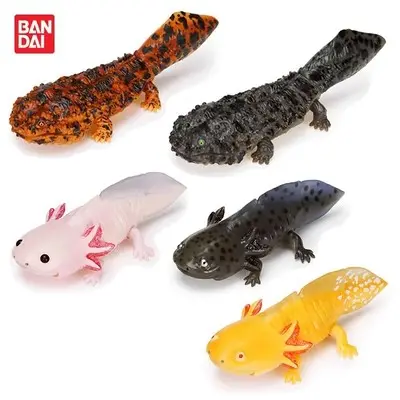 Spot 10000 Generation Biology Big Picture Jian Twist Egg Model Amphibian Giant Salamander Salamander