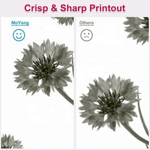 MOYANG-cartucho 902 906 Compatible con <span class=keywords><strong>HP</strong></span> OFFICEJET 6960, suministros de impresora, compra a granel - Product Image 3