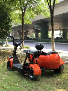 Triciclo Eléctrico de Tres Ruedas con Sidecar, Personalizable con Logotipo, Nuevo, 2 Asientos, Apto para Adultos, Venta al Por Mayor - Product Image 3