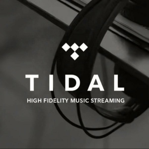 บัญชีสมาชิก Tidal HiFi Plus แบบพรีเมียมสำหรับสตรีมเพลง ระยะเวลา 12 เดือน - Product Image 3