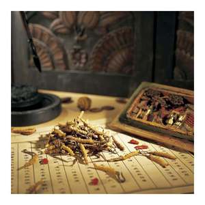 Qualidade Superior <span class=keywords><strong>Cordyceps</strong></span> <span class=keywords><strong>Sinensis</strong></span> Pó Cápsula Tablet por Paecilomyces Hepiali Extrato - Product Image 3