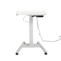 Table de toilettage électrique en acier inoxydable avec éclairage LED, mode mémoire, télécommande, utilisation facile et sûre, pratique YM-AW-202