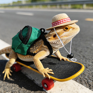 Ensemble de 3 jouets transfrontaliers pour petits animaux : <span class=keywords><strong>Lézard</strong></span>, Hamster, Tortue - Planche à roulettes pour animaux, Sac à dos, Chapeau - Superbe ensemble - Product Image 1