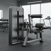 Entraîneur d'extension dorsale à plaques CX8009 MPKS pour utilisation en salle de sport commerciale, équipement d'entraînement de force réglable pour la musculation