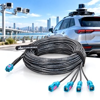 Kabel Data Otomotif Jarak Jauh 10m Rosenberger 4-in-1 HFM Mini FAKRA ke 4x FAKRA Female untuk Sistem Kamera ADAS LiDAR