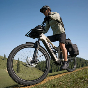 Amflow TL Carbon FOX AWL Sportgabel RAIL 2.0 Dämpfer Amflow TL Dropper E-Bike <span class=keywords><strong>MTB</strong></span> - Product Image 1