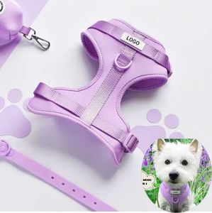 Venta caliente de lujo personalizado PVC <span class=keywords><strong>Pet</strong></span> Arnés Set ajustable Reversible Dog <span class=keywords><strong>Collar</strong></span> Correa para mascotas de tamaño pequeño Diseño impermeable - Product Image 1
