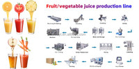 Complete Volautomatische Versvruchtensapverwerkingslijn Drinkproductielijn Sapvulmachine