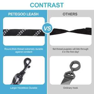 Son derece yansıtıcı ağır naylon köpek tasma ile yumuşak yastıklı kolu dayanıklı sürdürülebilir baskılı desen şerit Pet malzemeleri - Product Image 4