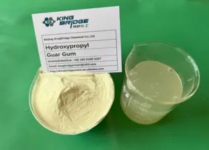 Fast Dissolving Hydroxypropyl Guar Gum Powder