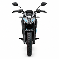 Cost-Effective Electric Motorcycle for Africa South America 72V LFP Swappable Battery Rental