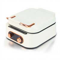 Poêle électrique à double face chauffante en acier inoxydable avec grill, cuisinière multifonction pour la maison