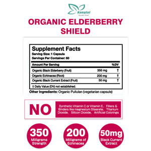 Kapsul perisai Elderberry Label pribadi suplemen kesehatan ekstrak kismis hitam kapsul Elderberry sistem imun meningkatkan - Product Image 2