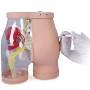 Mannequin pour <span class=keywords><strong>injection</strong></span> <span class=keywords><strong>intramusculaire</strong></span> fessière et entraînement comparatif - Product Image 1