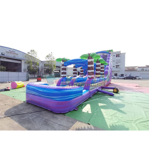 Giant outdoor kids party tobogan hinchable purple plunge <b>inflatable</b> tropical hurricane <b>water</b> <b>slide</b> with pool - Product Image 2