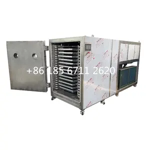Industrial fruit and vegetable meat products vacuum freeze dryer factory direct sales