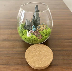 Terrario in Vetro da Tavolo con Coperchio in Sughero, Mini Vaso Decorativo per <span class=keywords><strong>Piante</strong></span> di Muschio e Fiori, Centrotavola - Product Image 5