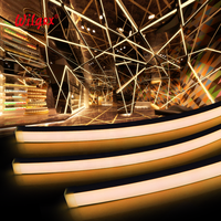 Bande Néon Flexible LED RVB en Silicone IP65 30x20mm 24V Adressable pour Jardin - Vente en Gros