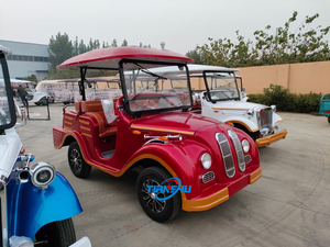 2025 Custom 8 11 14 Seat Electric Classic Car Venta caliente al Aire Libre Verde Vintage para <span class=keywords><strong>VW</strong></span> Car From China Factory Enjoliver Price - Product Image 5