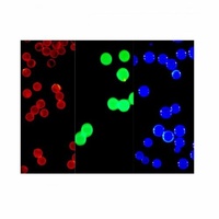 Microsphères fluorescentes en métal de terres rares à longue durée de luminescence, haute stabilité, pour le domaine des biomarques, prix 0,1 µm