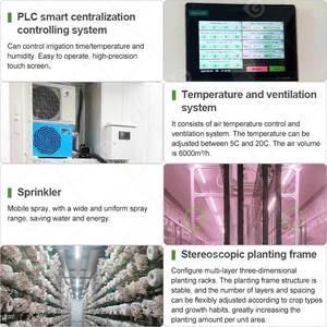 Contenedor de Envío para Cultivo Vertical Interior de 16 pies, Sistema Inteligente para Cultivo de Hongos, Máquina de Fabricación Agrícola, Motor Aeropónico/Acuapónico - Product Image 4
